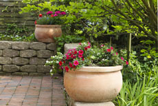 Colorado Springs Property Management